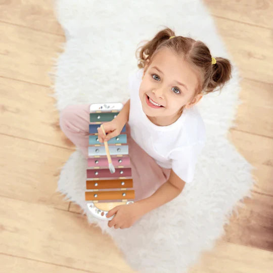 Speedy Monkey Xylophone - The Toy Station