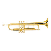 Steinhoff Student Trumpet (Gold) W/Case