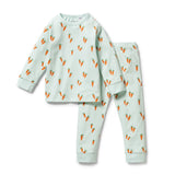 Organic Long Sleeve Pyjamas W24