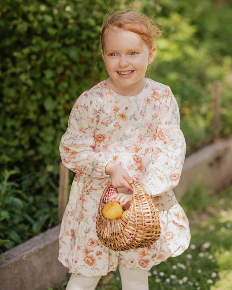 Bébé by Minihaha EMMY PRINT ORGANIC DRESS 0-7 YRS