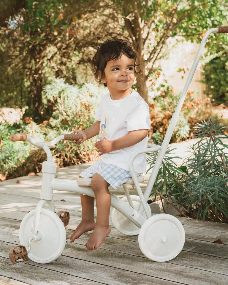 Axel Check Shorts - The Toy Station