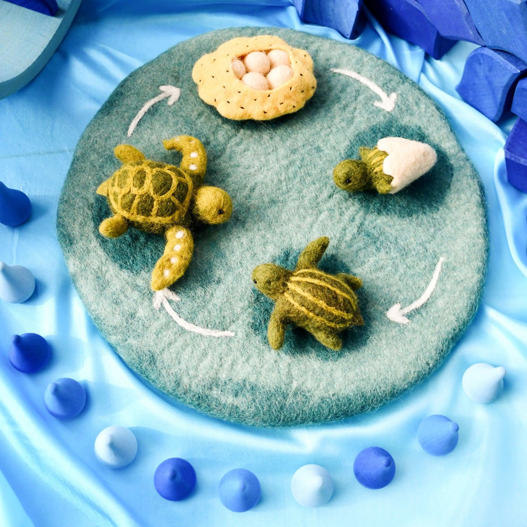 Felt Life Cycle Tray Playmat (Water) - The Toy Station