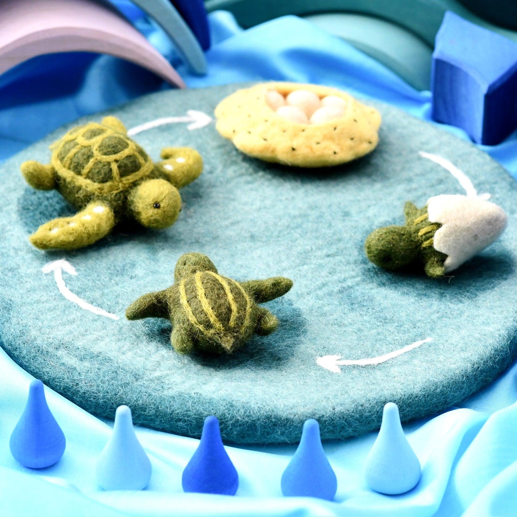 Felt Lifecycle of Green Sea Turtle - The Toy Station