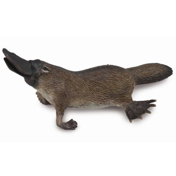Platypus