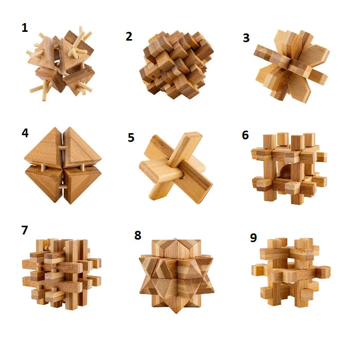 Ecological - Six Bamboo Brainteasers