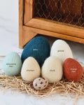 Felt Eggs (7 types of poultry eggs)