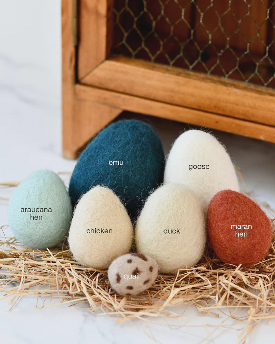 Felt Eggs (7 types of poultry eggs)