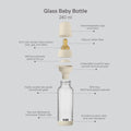 Glass Baby Bottle 240ml Medium Flow