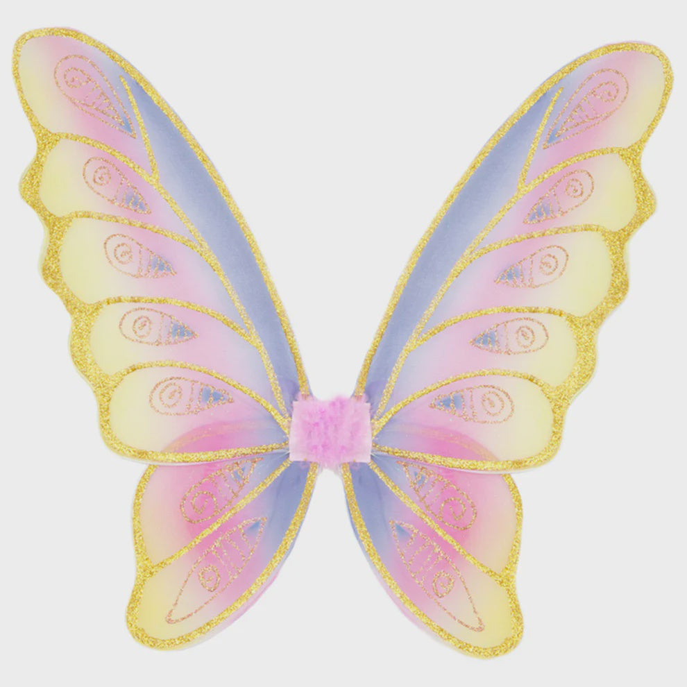 Glitter Rainbow Wings - The Toy Station
