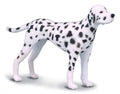 Collecta Dalmation - The Toy Station