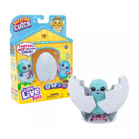 Little Live Pets Surprise Chick Single Pack