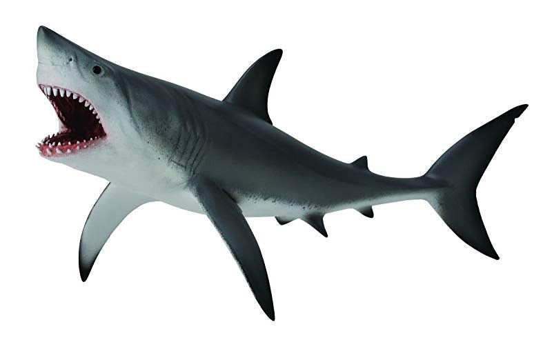 Great White Shark - The Toy Station