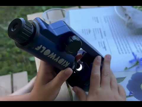Kidywolf - Kidy-Microscope