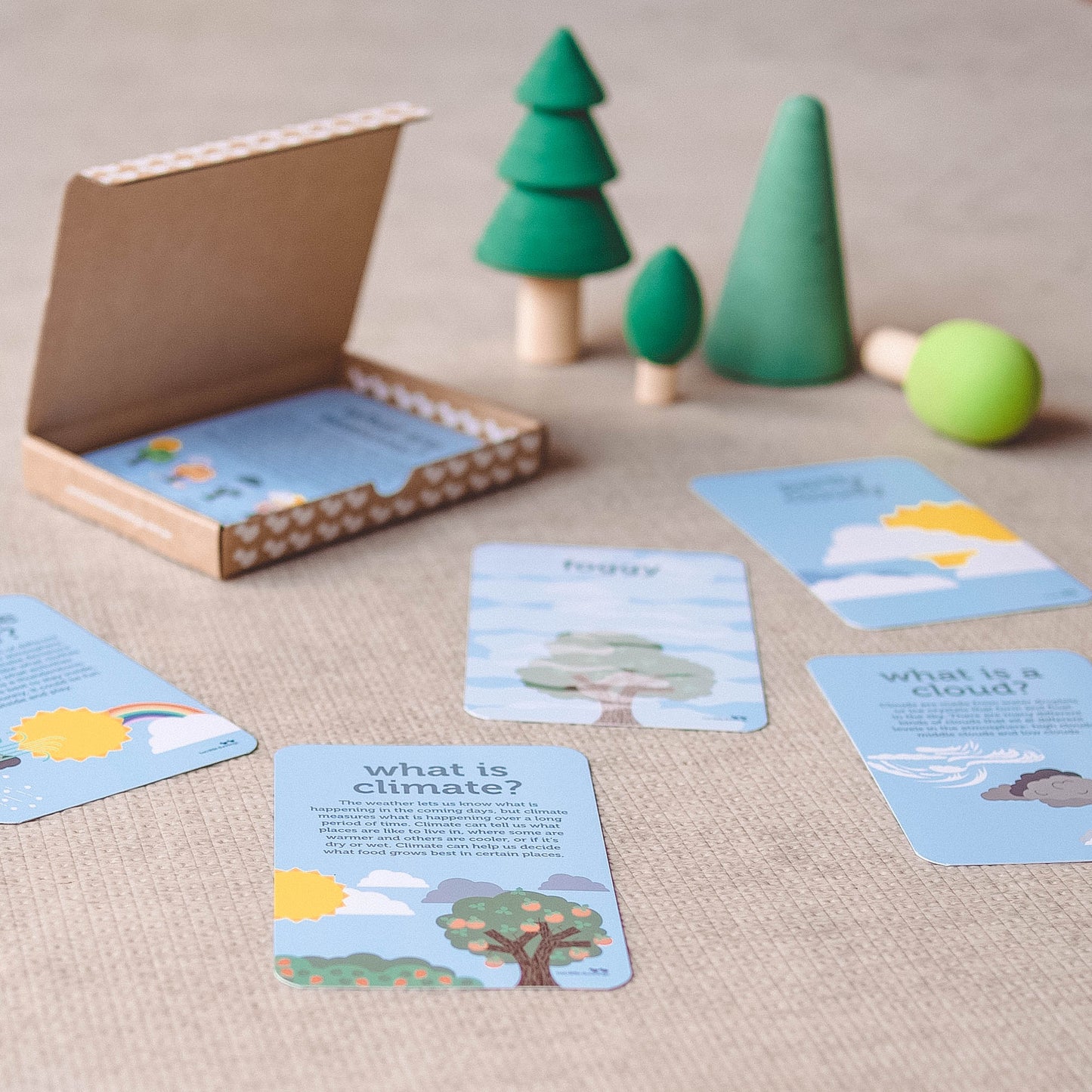 Two Little Ducklings Flash Cards Deluxe - The Toy Station