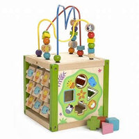 Ever Earth  My First Multi-Play Activity Cube