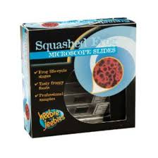 Heebie Jeebies Squashed Frog Slides - The Toy Station